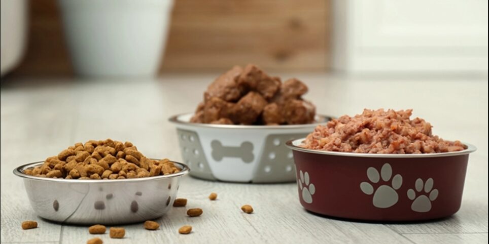 Functional pet food ingredients on the rise as health minded